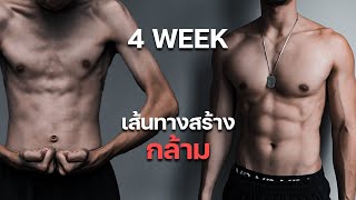 เส้นทางการสร้างกล้ามใน 4 สัปดาห์ มือใหม่เริ่มง่าย มีกล้ามแน่นอน 100%