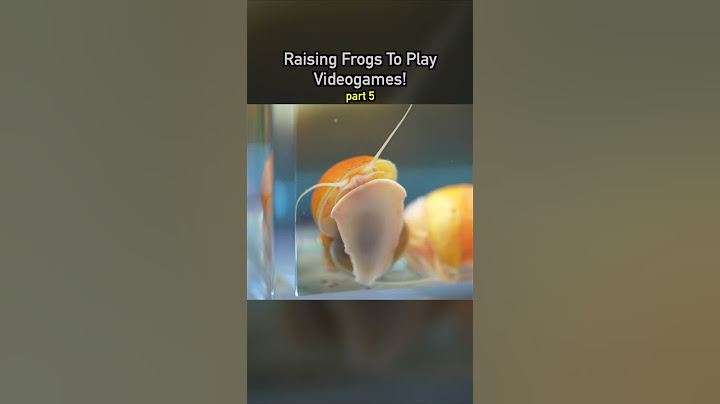 Raising Frogs to Play Videogames! pt 5 🐸 #ecosystem #wildlife #nature