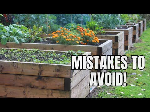 Video: Schattentolerantes Gemüse - Anbau von Gemüse in einem schattigen Garten