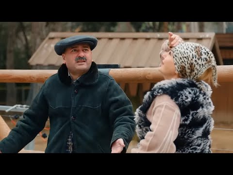 Video: 11 Piyadalar üçün Əyləncəli Fəaliyyətlər