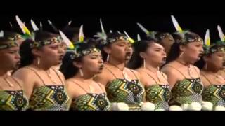 Nga Puna o Waiorea whakaeke 2014