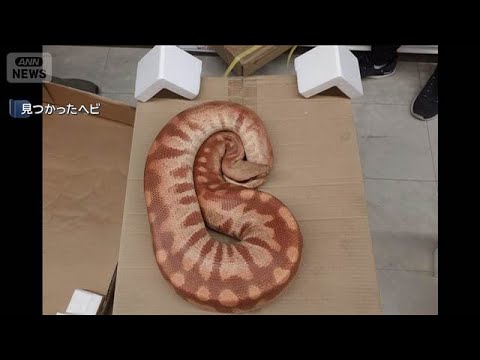 1m Long, 15cm Thick 