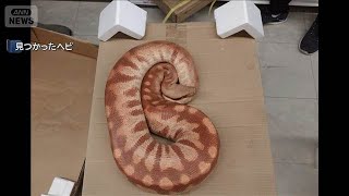 1m Long, 15cm Thick 