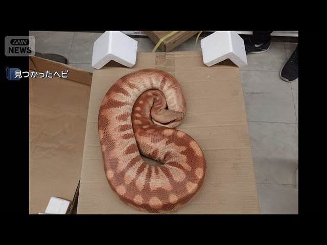 1m Long, 15cm Thick 