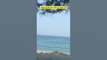 آيات بينات من كتاب الله العزيز الحكيم #قران_كريم #كتاب_الله #راحة_نفسية