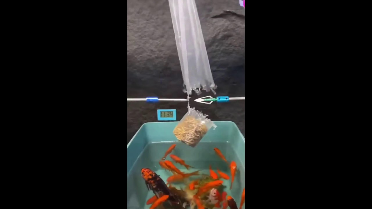 СТРИМ ШОРТС ИГРАЕМ