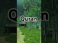 Surah Inshiaqq Ayat No 10 25 Urdu Translation Islami Video Alquranulkrim Translationquran рџЊ рџ Њ рџЊ рџ Ірџ ірџ Surah Inshiaqq Ayat No 10 25 Urdu Translation Islami Video Alquranulkrim Translationquran рџЊ рџ Њ рџЊ рџ Ірџ ірџ