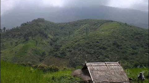 Dab Neeg Mus Pw Zov Teb Poj Ntxoog Los Tsuab Qaib