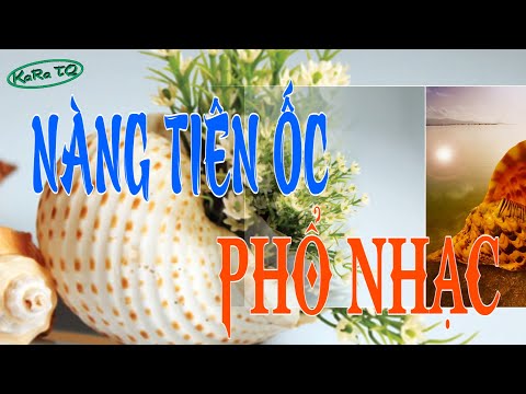 Video NÀNG TIÊN ỐC | BÀI HÁT - youtube