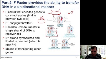 Chapter 6 - 3 - Conjugation and Transformation