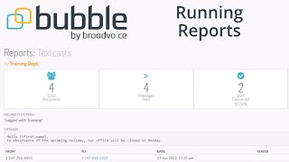 Bubble – Running Reports