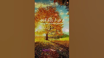 تلاوة خاشعة عطرة مباركة جميلة عذبة للشيخ سعود الشريم ماتيسر من سورة الزمر