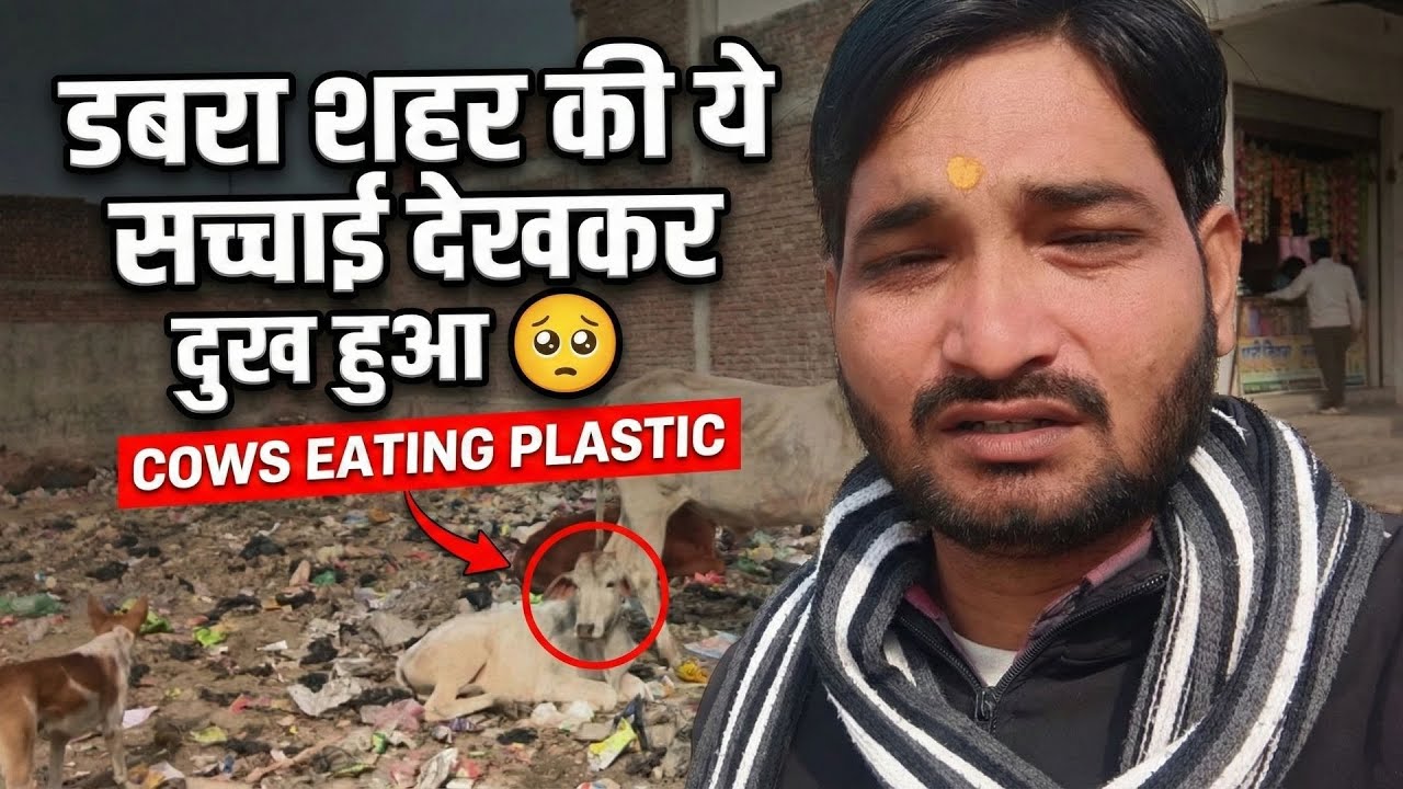 Jio se Idea: Sim Port karane mein ho gaya Popat! 🤕 | Dabra Vlog