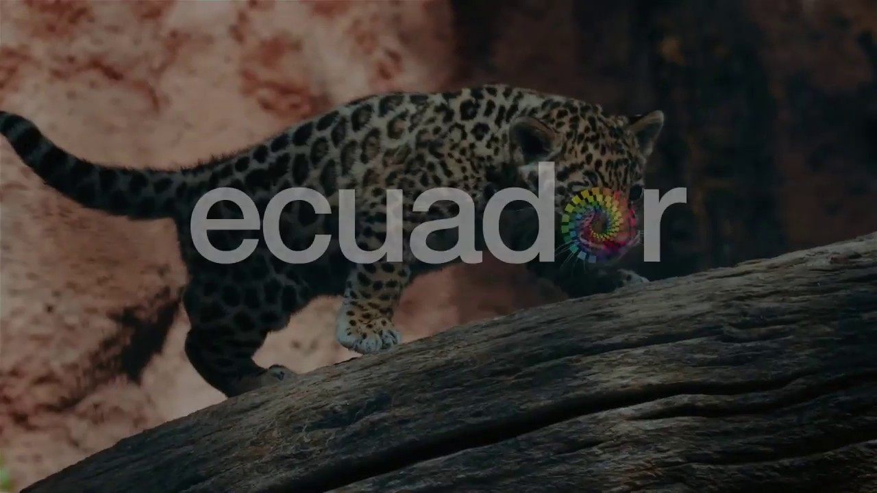 Ecuador es mío la voz