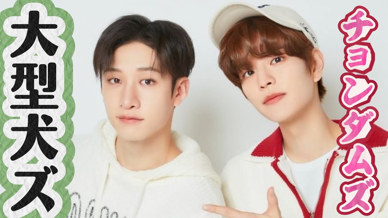 【straykids】癒ししかないチョンダムズ【大型犬ズ】