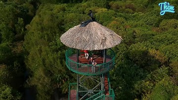 [Quang Cuisine & Trip] Khám phá khu Tràm Chim Vàm Sát - Cần Giờ