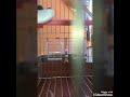 تسمع غير مات ومات اغنية روعة