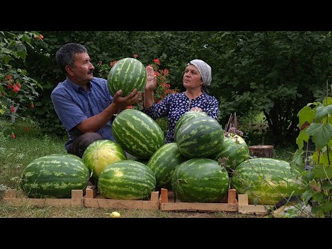 Canning Watermelon Juice For The Winter, Outdoor Cooking