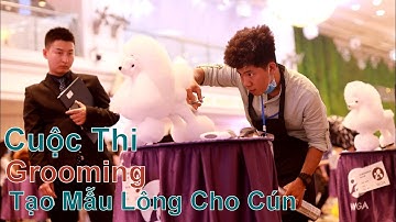 Những Chú Cún Quý Tộc tại Cuộc Thi Tạo Mẫu Lông Quốc Tế/ Grooming - WGA/ NhamTuatTV