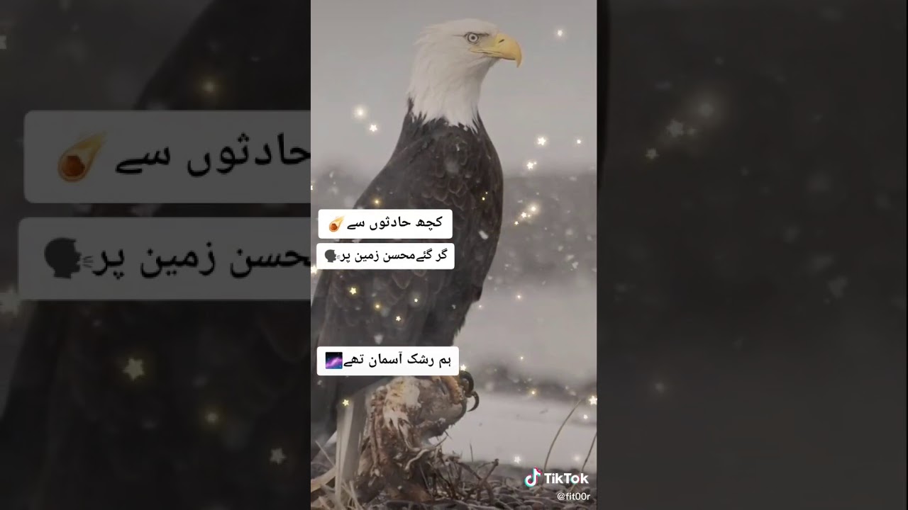 Latest two line urdu poetry for whats app status free ...
