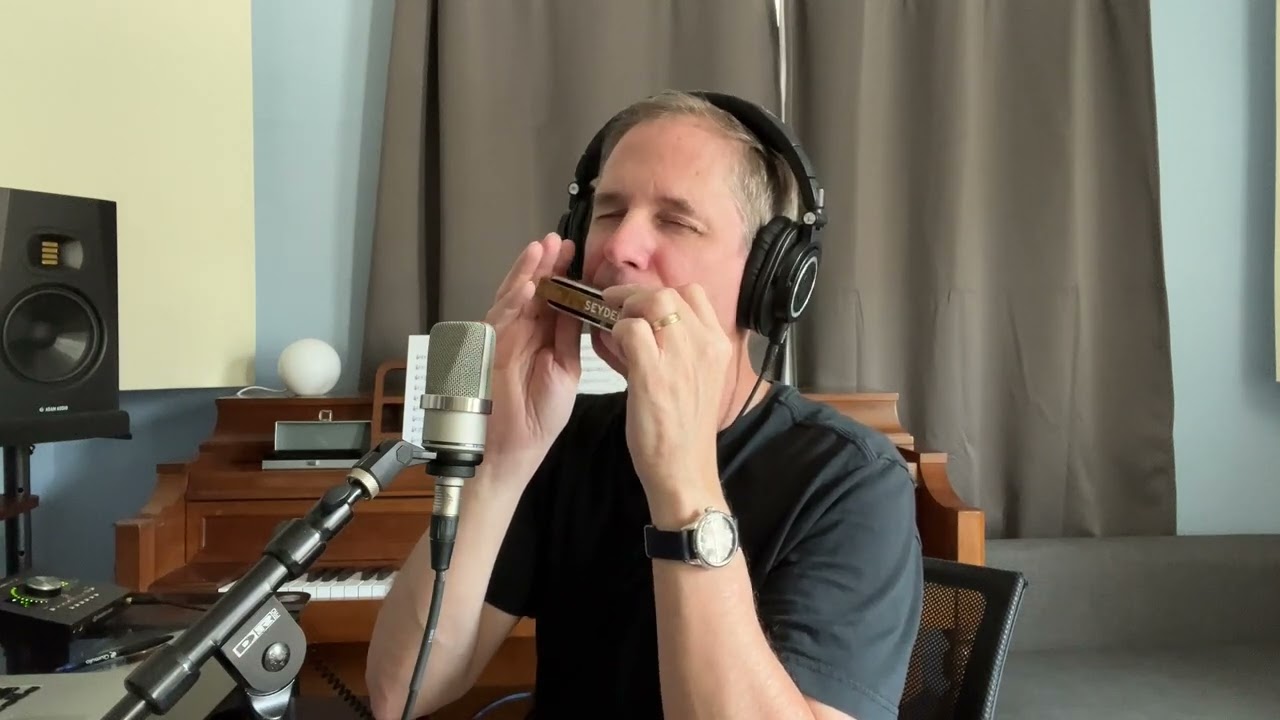 Harmonica Seydel Deluxe Steel Bags' Groove - YouTube