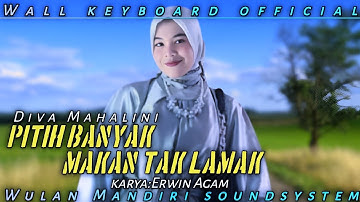 Silva Hayayi Cover  Diva Mahalini -  Pitih Banyak Makan Tak Lamak