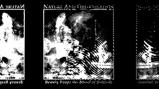 Nature And Organisation feat. Douglas Pearce - My Black Diary