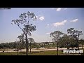 Southwest Florida Eagle Cam #2