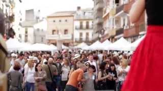 4ª Mostra de vins - Terres dels Alforins