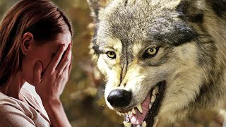 Волки в лесу спасли женщину с ребенком
