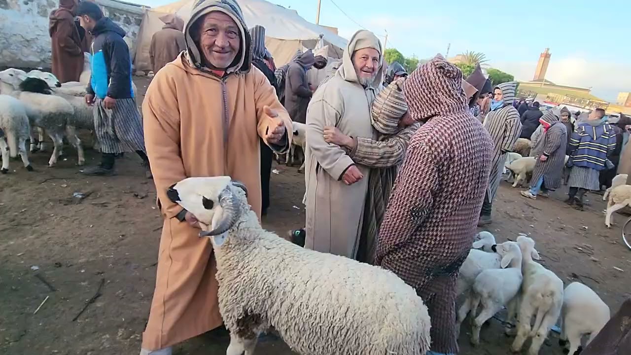 خيرات موجودة في سوق تلات لولاد نقدم لكم أتمنة حولى فرجة ممتعة