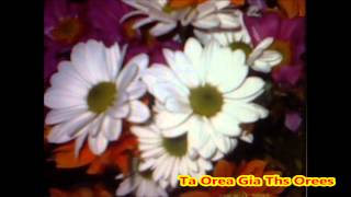 Ta Orea Gia Ths Orees