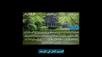 وتوكل على الحي الذي لا يموت | سورة الفرقان حسن صالح السورة كاملة في الوصف 👇
