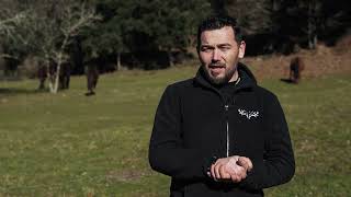 Projeto Pioneiro em Coimbra - Baldios de Alges - Gestão Integrada dos Fogos Rurais