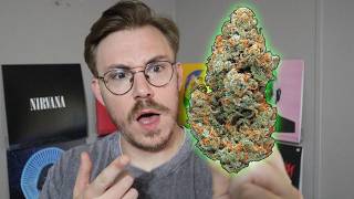 WHY HAS THIS STRAIN BEEN POPULAR SINCE THE 90'S?