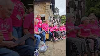 St Luke's | PAFS Singing Group perform A Beautiful Place (Never Feel Alone) live at the Summer Fayre