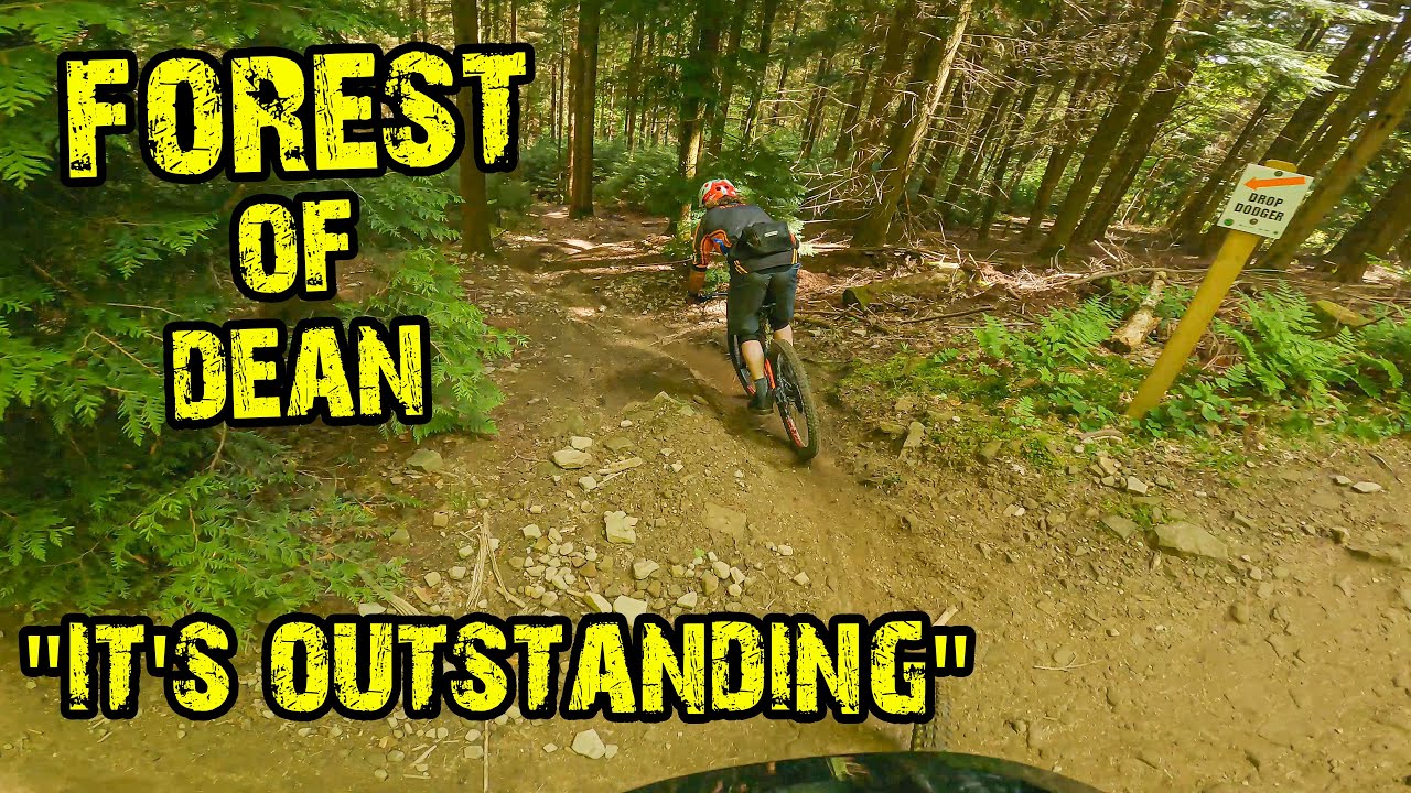 Forest Of Dean MTB EPICNESS! - What A Group Shred...