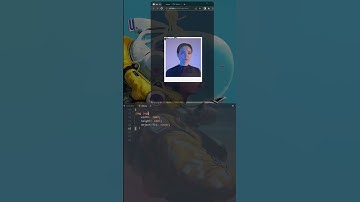 css Profile card animation | responsive card