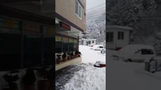 울릉도올레펜션 | 바다가 보이는 신축 울릉도 올레펜션