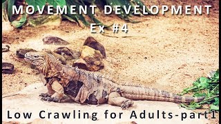 Movement Development Ex #4 1st low crawl