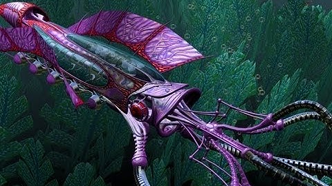 Nvidia Demo: Squid (GeForce4 Ti) HD