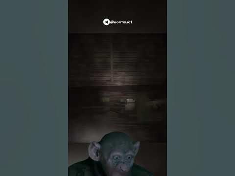 Магические доски #gaming #games #мем #edit #мемы #memes #streamer #юмор ...