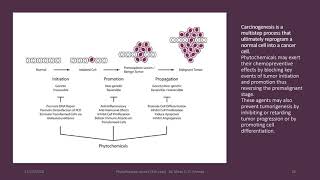 Lec (14 - A) Dietary phytochemicals and cancer chemoprevention