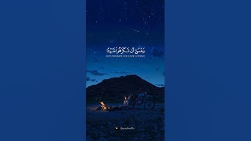 وعسى أن تكرهوا شيئا وهو خير لكم #quran #kuran #المصحف #تلاوة #kuranıkerim #قران_كريم #قرآن