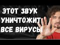 Мой звук устранит воздействие любого ОРЗ. Этот тот звук который вы слушали и который упорно удаляют!