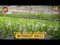 Soil Free Farming, Beard Club, Women's Armwrestling & No Power AC | #OMGClassics S06E10