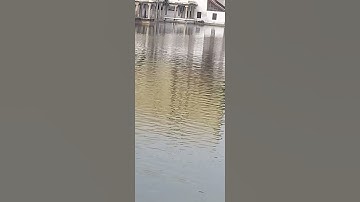 padmanabha swamy temple Thiruvananthapuram #padmatheertham # google#unnivijayamohan# shorts