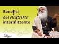 I benefici del digiuno intermittente | Sadhguru Italiano