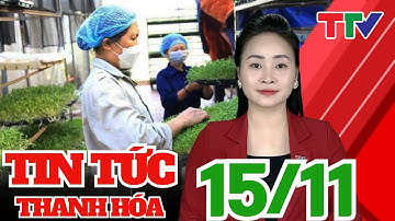 Doanh nghiệp liên kết với nông dân trong sản xuất, tiêu thụ nông sản| Thanh Hóa TV
