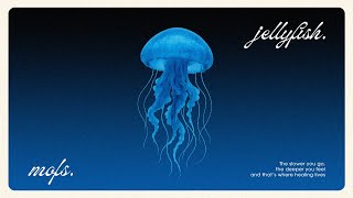 jellyfish. ⋅˚₊‧ଳ ‧₊˚ ⋅